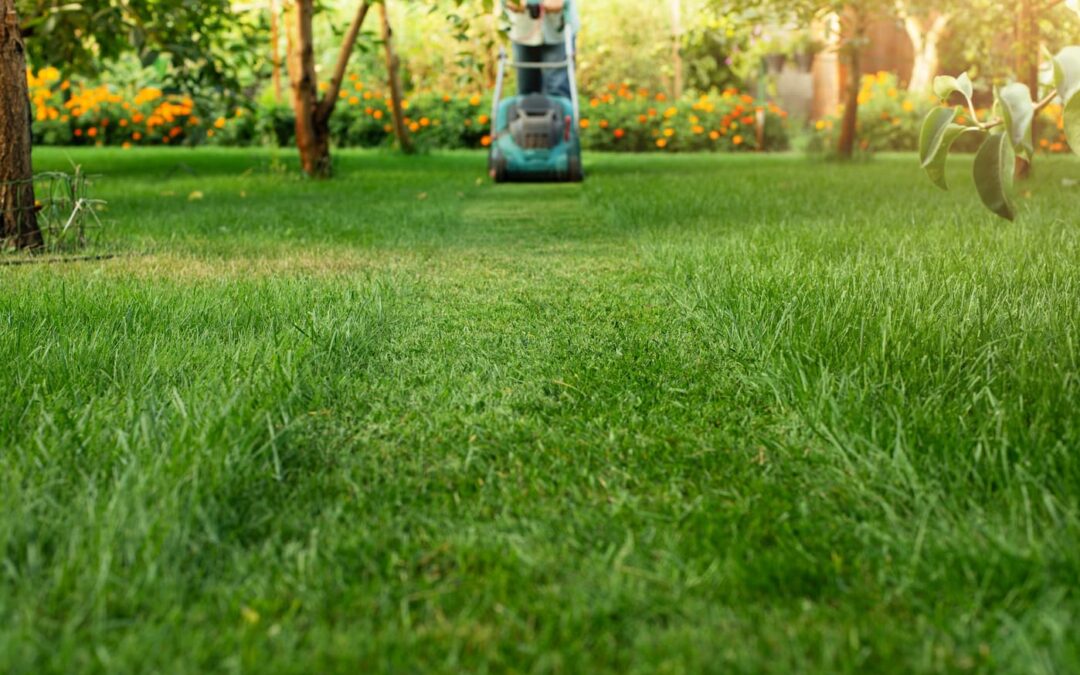A landlord mows the lawn as part of their summer maintenance work.