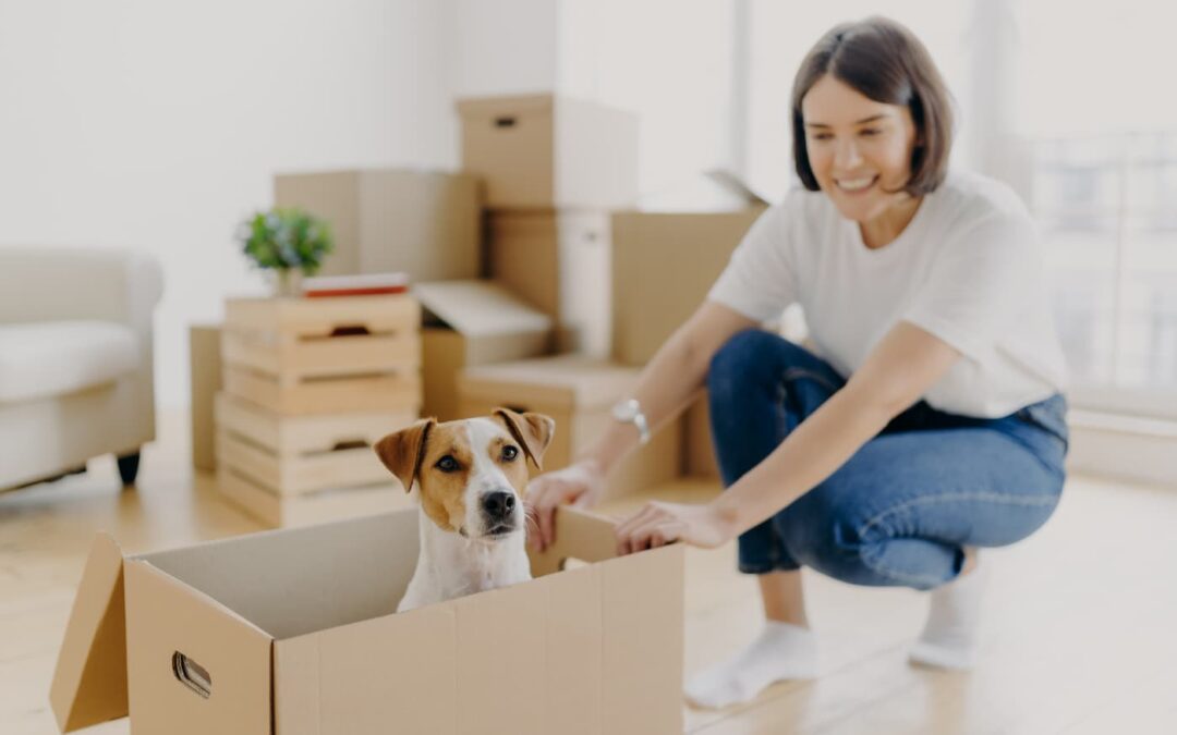 A women who is renting with pets kneels in front of a cardboard box with a dog sitting inside it.