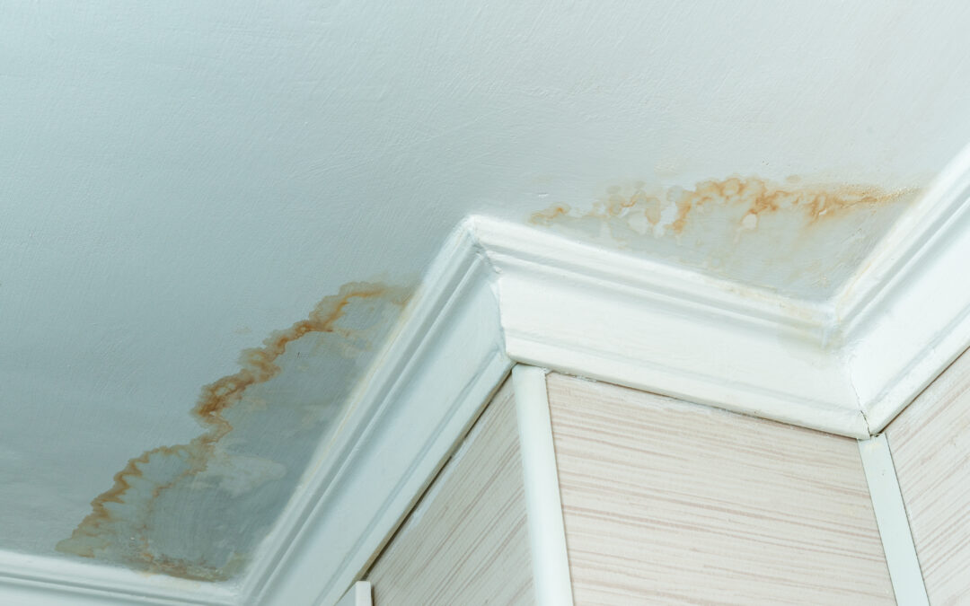 Watching Out for Water Damage: Signs You Might Have a Leak